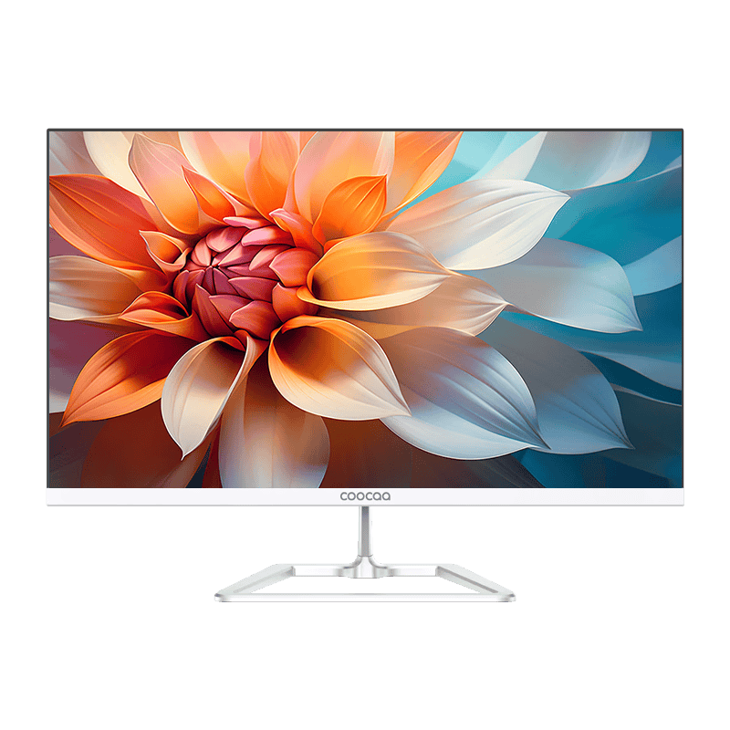 探索科技与艺术的结合：推荐5款超值一体机