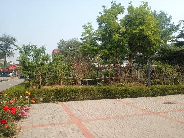 社区|光大汇晨科丰公寓、金融街街道照料中心|参观入住攻略呈上pg电子模拟器试玩2026最新|长护险可用临终关怀高端养老(图56) 社区|光大汇晨科丰公寓、金融街街道照料中心|参观入住攻略呈上pg电子模拟器试玩2026最新|长护险可用临终关怀高端养老(图56)