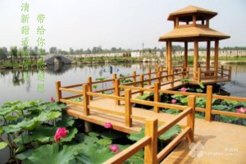 社区｜光大汇晨科丰公寓、金融街街道照料中心｜参观入住攻略呈上pg电子模拟器试玩2026最新｜长护险可用临终关怀高端养老(图61)